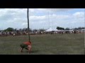 Sarasota Scottish highland games 2012