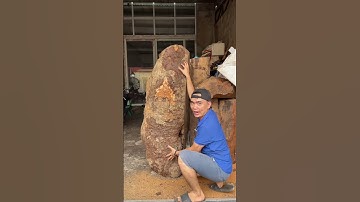 Kiểm tra khúc gỗ Quý gần 300kg #tuonggonguyenhong #tượng_phong_thủy