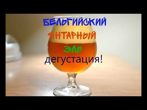 ДЕГУСТАЦИЯ ЯНТАРНОГО БЕЛЬГИЙСКОГО ЭЛЯ!оч хорош!!!!!!