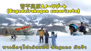 พาเด็กๆไปเล่นสกีที่ 菅平高原スノーリゾート(Sugadairakōgen sunōrizōto)สนุกมาก (พี่8ขวบ น้อง5ขวบ)
