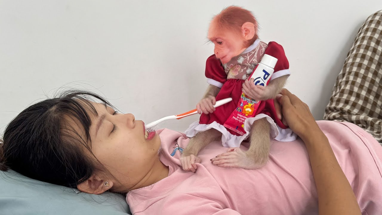 Lucky is angry because mom fell asleep and refused to brush Lucky's teeth