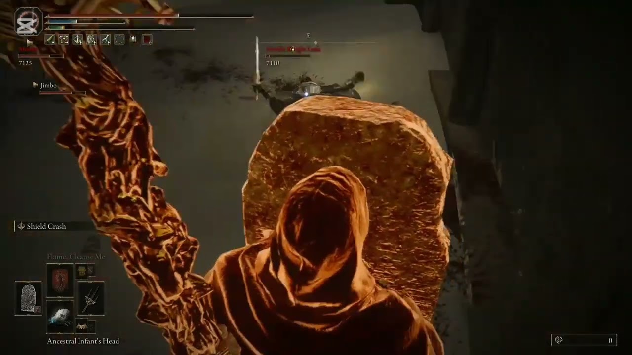 Needle Knight Leda and Allies vs Tarnished, Grindelvald, Ansbach and Thiollier (4v5 Fight)