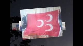ADIMIZ DELİ KURT
