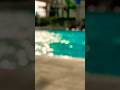 Шутка дня про деньги в Дубае #шутка #shorts #dubai