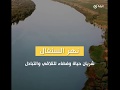نهر السنغال نهر السنغال