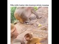 Siku zote Mama ndo mwenye mtoto Mwaisa Kina Nyange 😂