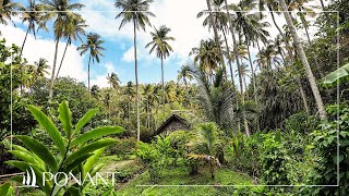 Caribbean, the PONANT way | PONANT