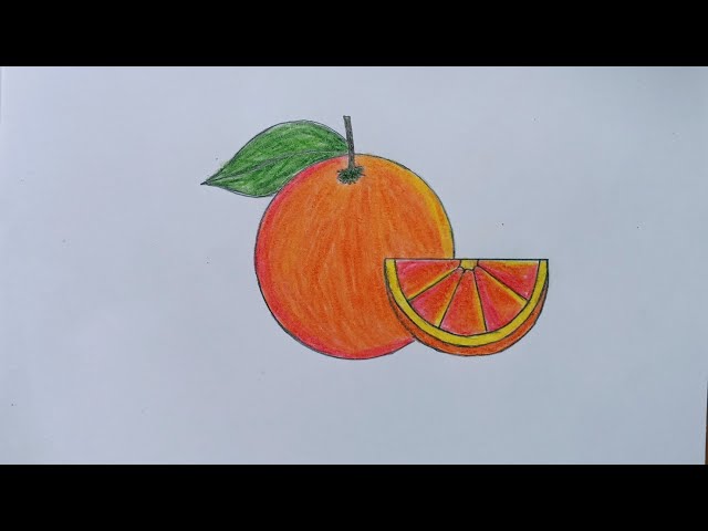 Orange Drawing - How To Draw An Orange Step By Step