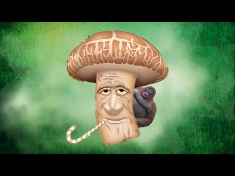 shiitake-mushroom-candy-canes-(vomit-warning)