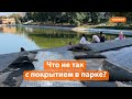 Почему развалилась беговая дорожка в парке «Черное озеро»?