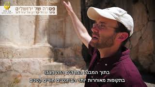 פטרה של ירושלים - סיור מנחל קדרון אל עיר דוד