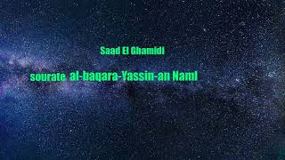 Saad al ghamidi sourate al-baqara-yassin-an naml