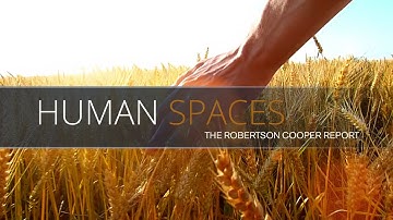 Interface | Defining Biophilia and Biophilic Design