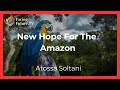New Hope for the Amazon?
