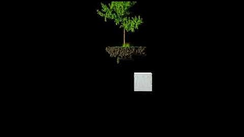 houdini tree simulation rnd