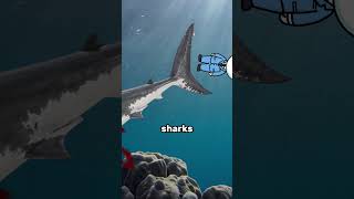 If I Turned into a Fish