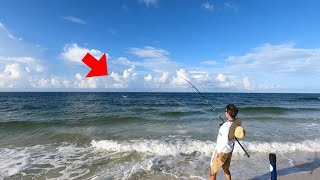 Tossed CUT BAIT Out on this UN-FISHED BEACH and This Happened!