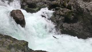 Sol Duc Steelhead Jumping by Bob McMichael 262 views 1 year ago 3 minutes, 59 seconds