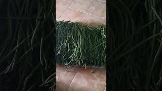 kacang lanjaran enak