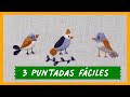 🧵 Puntadas Fáciles para BORDAR A MANO | Punto Espiga, Punto Plano, Puntada Corta y Larga #3 🧵