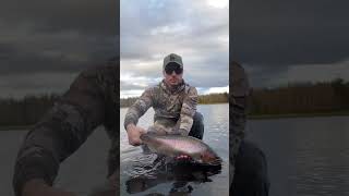 Catch &amp; Release Big Trout 🎣🔥Back to the wild ❤️Subscribe for more!#trout #catchandrelease #shorts