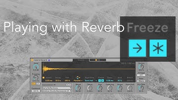 Playing with Reverb Freeze