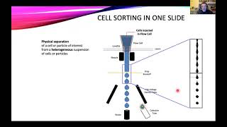 OpenFlow: Introduction to Cell Sorting Part II