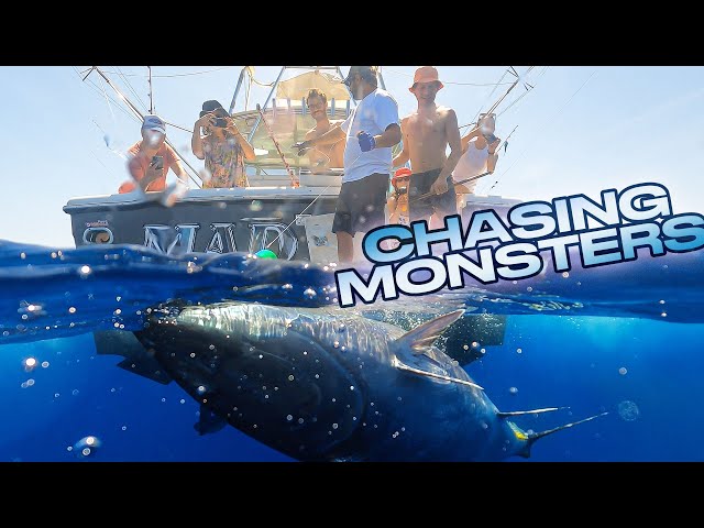 Chasing Giant Bluefin Tuna in Mallorca 