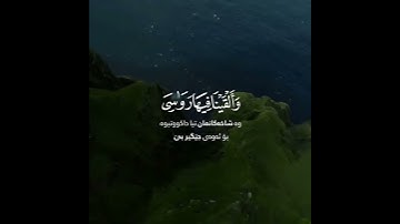 📖• ﴿سورة الحـجر آیة ١٦-٢٠ ﴾🎙️• ﴿عمیـــــــــــر شمیـــــــم ﴾