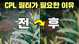 내 사진과 영상이 2% 부족하다고 느낀다면 cpl필터를 써보세요 (사진과 영상에서 cpl필터 적용 전 후 비교) feat. 겐코 셀레스테 CPL 필터 screenshot 1