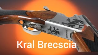 : Kral Brescia Coraggio(  )  . .   .