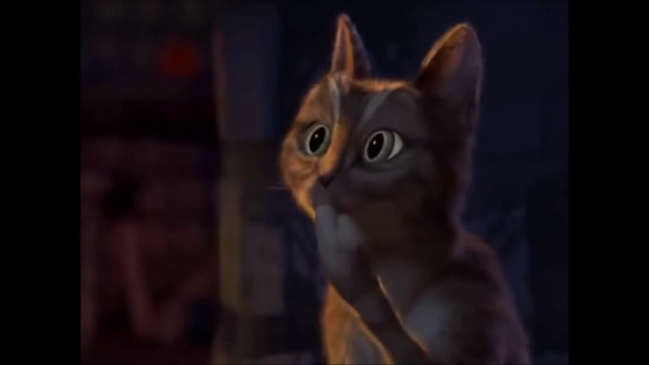 El gato dice ooh - YouTube