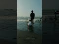 CINTA MATIKU #music #nidji #cintamati #pantai