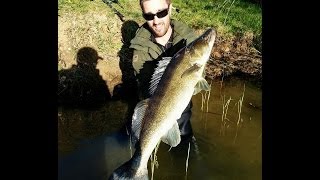 Pêche du carnassier en Lorraine avec Raise Fishing