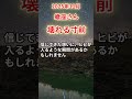 【蠍座さん】2025年11月の「さそり座」〜壊れる寸前　信じた想いにヒビが入る〜#shorts