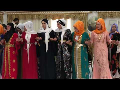 Siverek Karacadağ paris düğün salonu türkmen aşiret düğünü delilo