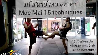 Muay Boran Mae Mai 15 Fundamentals techniques แม่ไม้มวยไทย ๑๕ ท่า