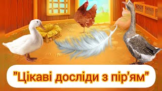 картинка: 