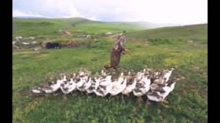 Dündar Akdağ. Anlayamadım