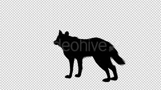 Wolf Howling Silhouette Animation - 4 Scene | Motion Graphics - Envato elements
