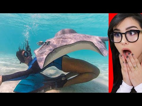 Video: SSSniperWolf Net Worth: Wiki, Kết hôn, Gia đình, Đám cưới, Lương, Anh chị em