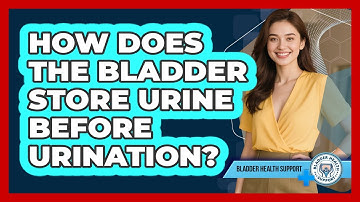 How Does The Bladder Store Urine Before Urination? - Bladder Health Support