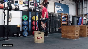 DB Box Step Up | TTT Exercise Index