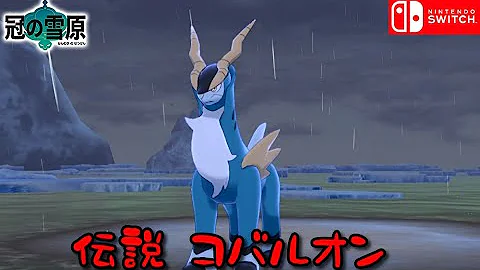 ポケモン剣盾そうげんポケモン足跡