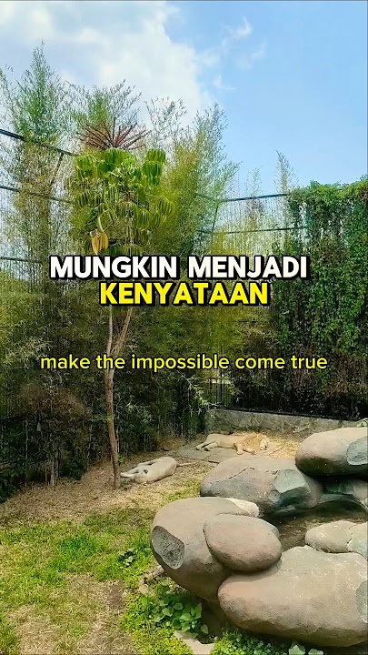 Ya Allah ku serahkan semua pada-Mu 🤲🏻 #katakatabijak #quotes #fyp