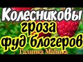 КОЛЕСНИКОВЫ //Обзор новых ВЛОГОВ // Гроза Фуд Блогеров //