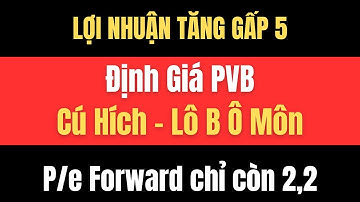 PVB: Cú Hích Tỷ Đô Từ Dự Án Lô B – Ô Môn (Lợi Nhuận Tăng gấp 3 -Bùng Nổ 2025!)