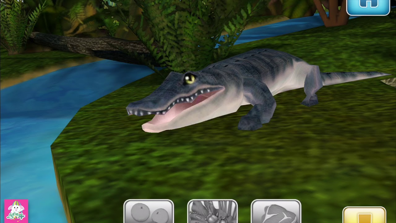 M35 jungle Animal Games For Kids YouTube