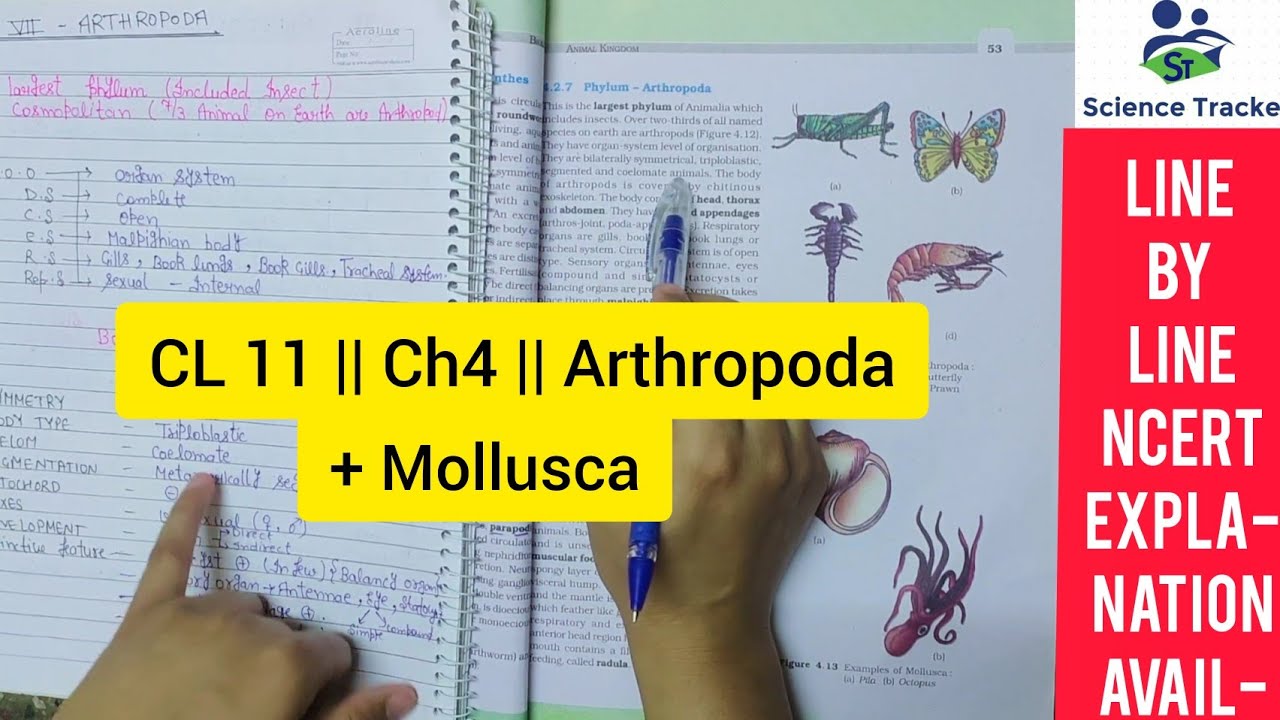 🔴 CL11 || CH4 || Phylum Arthropoda + Phylum Mollusca || line by line ...