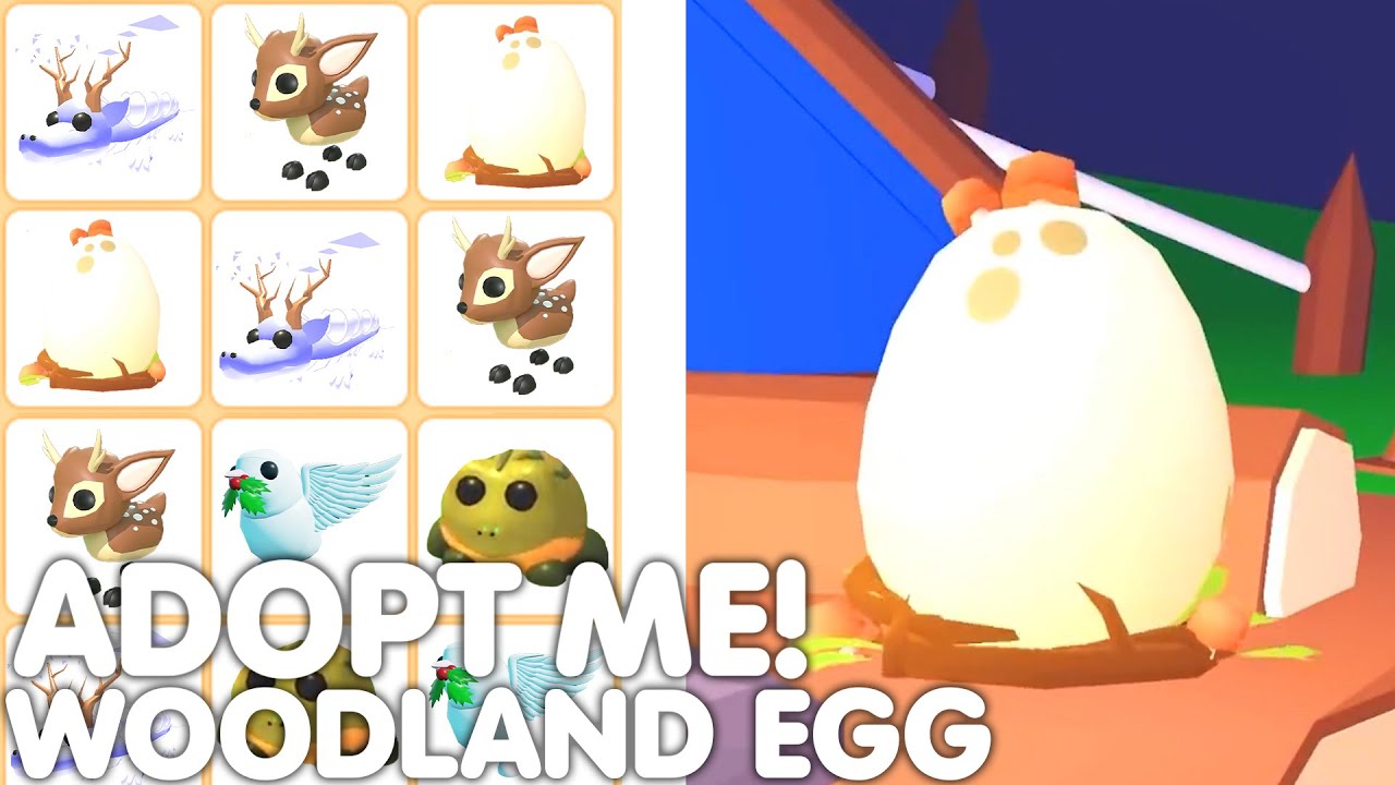 🥚👀WOODLAND EGG UPDATE RELEASE! ADOPT ME HOW TO PREPARE FOR THE WOODLAND  EGG! +ALL INFO ROBLOX 